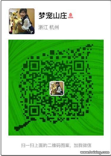 马犬出售 马里努阿犬家养护卫超级聪明可以训练